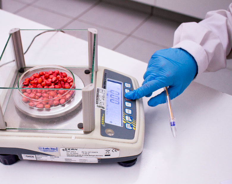 Laboratorio de Semillas Tuniche