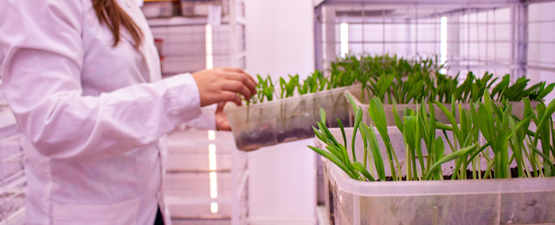 Laboratorio de Semillas Tuniche